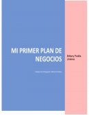 Mi primer plan de negocios - Trabajo de Investigación