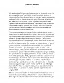 Corridas de toros ¿Tradición o maltrato?