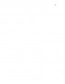 La globalizacion. Los países en desarrollo