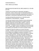 Desarrollo primer año de vida