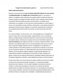 Ensayo sobre administracion publica