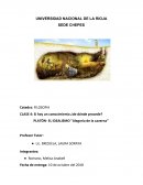 PLATÓN- EL IDEALISMO "Alegoría de la caverna”