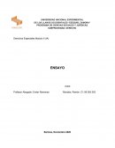 ENSAYO III MODULO DERECHO ESPECIALES