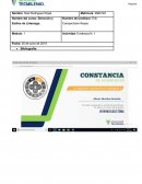 Evidencia Final - Detalles de proyecto liderazgo