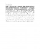 Ensayo pelicula avatar