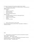 Evidencia 1 empresa H&M