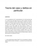 Teoría del caso y delitos en particular