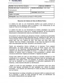 Resumen de Cadena de Valor de Michel Porter