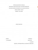 MAPA CONCEPTUAL DE DERECHO TRIBUTARIO