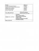 Mercadotecnia cerveza Corona