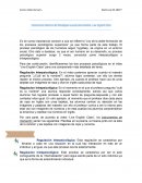 Constructos básicos del Paradigma sociocontructivista