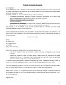 Tema 3: Formación de capital