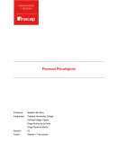 Procesos Psicologicos. La atención.La concentración.La emoción