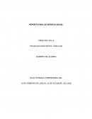 Reporte servicio social