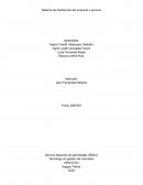 AP06 Sistema de distribución del producto o servicio