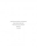 Gestión de Recursos Informáticos en una Organización