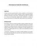 PROCESOS DE FUNDICIÓN CENTRIFUGA