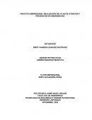 Plan de atencion de prevencion de emergencias