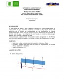 INFORME DE LABORATORIO N°1 COEFICIENTE DE MANNING