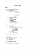 INFLUENCIAS EN SANTO TOMÁS