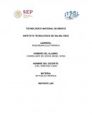 Reporte de Práctica LDR