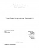 Planificación y control financiero