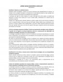 Caso práctico ¿Cómo Adidas encontró su impulso?