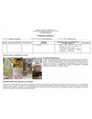 ARTE Y PATRIMONIO. SUPERACION PEDAGOGICA