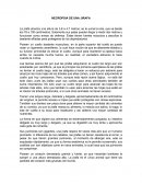 Necropsia de una jirafa