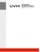 ACT3 Equipo - Actividad de microeconomia obigatoria