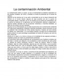 Contaminacion del aire daña a la salud