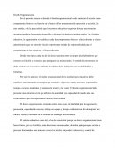 Parámetros de diseño organizacional: Incidencias en la productividad y en los vínculos sociales