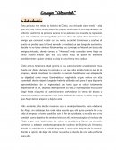 ﻿Ensayo: Película “Abzurdah”