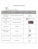 ANOMALÍAS ARCO FARÍNGEAS