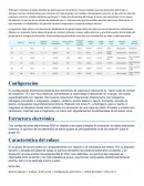 INFORME METALES