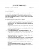 NUMEROS REALES