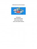 Informe plan de acción de mercado