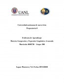 Ensayo sobre Chernobyl