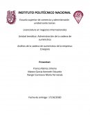 Análisis de la cadena de suministros de la empresa: Cinépolis