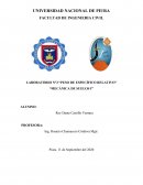 LABORATORIO N°3 “PESO DE ESPECÍFICO RELATIVO”