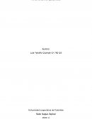 Informe BIENAL Herramientas Computacionales