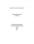 PRESENTE Y FUTURO DE LA NEUROÉTICA