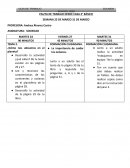 PAUTA DE TRABAJO DESDE CASA 3° BÁSICO