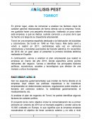 ANÁLISIS PEST TORROT