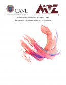 Práctica Vacunas e inmunización