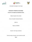Modelo de escarabajo. El entorno corrompido por falsedades baratas