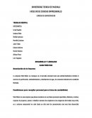 DESARROLLO Y LIDERAZGO CASO PRÁCTICO