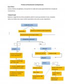 Práctica de Reanimación Cardiopulmonar Caso Clínico