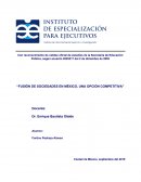 Fusión de sociedades en México, una opción competitiva