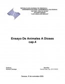 Ensayo sobre de animales a dioses